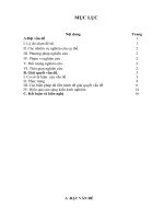 SKKN dạy giải toán bằng phương pháp dùng sơ đồ cho học sinh tiểu học 