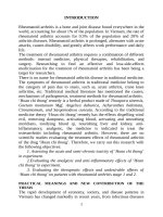 Nghiên cứu độc tính, tác dụng của “hoàn chỉ thống” trong điều trị bệnh lý viêm khớp dạng thấp trên thực nghiệm và lâm sàng tt tiếng anh 