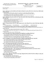 Đề kiểm tra giữa HK1 lịch sử 12 năm 2019 2020 trường nguyễn chí thanh TP HCM 