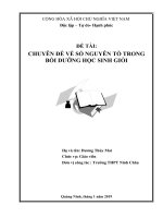 SKKN chuyên đề về số nguyên tố trong bồi dưỡng học sinh giỏi môn tin học 