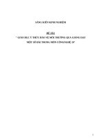 SKKN giáo dục ý thức bảo vệ môi trường qua giảng dạy một số bài trong môn công nghệ 10 