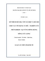 Sở thích rủi ro, vốn xã hội và cho vay tín dụng vi mô  Nghiên cứu thí nghiệm tại vùng Đồng bằng sông Cửu Long