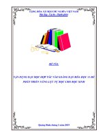 SKKN vận dụng hợp tác vào giảng dạy hóa học 11 để phát triển năng lực tự học cho học sinh 