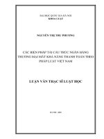 Các biện pháp tái cấu trúc ngân hàng thương mại mất khả năng thanh toán theo pháp luật Việt Nam