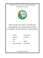 BÁO CÁO KẾT QUẢ THỰC TẬP MÔN HỌC: TỔNG HỢP NHU CẦU SỬ DỤNG ĐẤT ĐẾN NĂM 2020 XÃ CẨM HƯNG  HUYỆN CẨM GIÀNG  TỈNH HẢI DƯƠNG