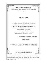 Sở thích rủi ro, vốn xã hội và cho vay tín dụng vi mô  Nghiên cứu thí nghiệm tại vùng Đồng bằng sông Cửu Long tt