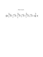 polka track28 