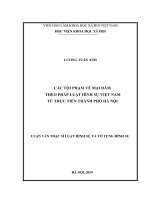 Các tội phạm về mại dâm theo pháp luật hình sự Việt Nam từ thực tiễn thành phố Hà Nội