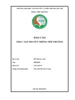 BÁO CÁO THỰC TẬP TRUYỀN THÔNG MÔI TRƯỜNG: XÂY DỰNG KẾ HOẠCH VÀ TỔ CHỨC THỰC HIỆN CHƯƠNG TRÌNH TẬP HUẤN NÂNG CAO NHẬN THỨC CHO CỘNG ĐỒNG VỀ HOẠT ĐỘNG ĐỐT RỪNG LÀM RẪY VÀ CÔNG TÁC BẢO VỆ RỪNG TẠI HUYỆN TRẠM TẤU, TỈNH YÊN BÁI