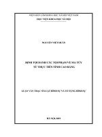 Định tội danh các tội phạm về ma túy từ thực tiễn tỉnh cao bằng