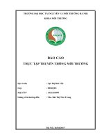 BÁO CÁO THỰC TẬP TRUYỀN THÔNG MÔI TRƯỜNG: XÂY DỰNG KẾ HOẠCH VÀ TỔ CHỨC THỰC HIỆN CHƯƠNG TRÌNH TẬP HUẤN NÂNG CAO NHẬN THỨC CHO CỘNG ĐỒNG VỀ CÔNG TÁC QUẢN LÝ VÀ BẢO VỆ RỪNG NGẬP MẶN TẠI XÃ ĐỒNG RUI, HUYỆN TIÊN YÊN, TỈNH QUẢNG NINH