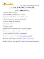 tu vung tieng anh lop 11 moi unit 2 relationships