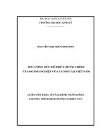 Đo lường mức động phổ cập tài chính của doanh nghiệp vừa và nhỏ tại Việt Nam