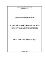 Mang thai hộ theo Luật Hôn nhân và gia đình Việt Nam năm 2014 full