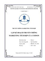 Tiểu luận Truyền thông Marketing tích hợp  ICM