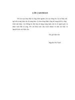 Luận văn thạc sỹ - Quản trị mối quan hệ với các nhà cung ứng hàng hóa của Công ty TNHH Lazada Việt Nam