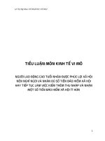 TIỂU LUẬN môn KINH tế VI mô NGƯỜI LAO ĐỘNG CAO TUỔI NHẬN được PHÚC lợi xã hội nên NGHĨ NGƠI và NHẬN đủ số TIỀN bảo HIỂM xã hội HAY TIẾP tục làm VIỆC KIẾM THÊM THU NHẬP và NHẬN một số TIỀN bảo HIỂM xã hội ít hơn 