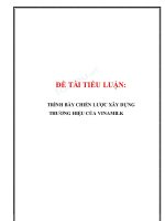 ĐỀ tài TIỂU LUẬN TRÌNH bày CHIẾN lược xây DỰNG 