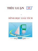 Tiểu luận hình học giải tích 