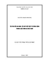 Tội phá rối an ninh, tội gây rối trật tự công cộng trong Luật Hình sự Việt Nam