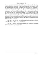 Tiểu luận thương mại điện tử Phân tích chiến lược bán hàng trực tuyến Lazada