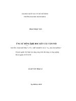 Ứng xử động lực học kết cấu tấm nổi dưới ảnh hưởng của hệ nhiều bậc tự do di động