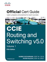 CCIE routing and switching v5 0 official cert guide volume i 5th edition kho tài liệu training 