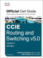 CCIE routing and switching v5 0 official cert guide volume II (5th edition) kho tài liệu training 
