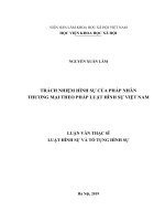 TRÁCH NHIỆM HÌNH SỰ CỦA PHÁP NHÂN  THƯƠNG MẠI THEO PHÁP LUẬT HÌNH SỰ VIỆT NAM