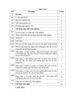 SKKNMột số giải pháp xây dựng môi trường giáo dục lấy trẻ làm trung tâm tại trường mầm non 