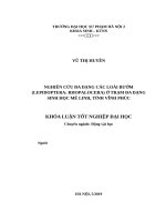 Nghiên cứu đa dạng các loài bướm (lepidoptera rhopalocera) ở trạm đa dạng sinh học mê linh, tỉnh vĩnh phúc 