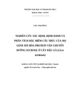 Nghiên cứu xác định, định danh và phân tích đặc điểm cấu trúc của họ gene mã hóa protein vận chuyển đường sucrose ở cây đậu gà (cicer arietinum) 
