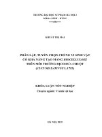 Phân lập, tuyển chọn chủng vi sinh vật có khả năng tạo màng biocellulose trên môi trường dịch dưa chuột (cucumis sativus l 1753) 