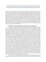 Tác động của hiệu quả hoạt động Marketing mối quan hệ đến sự hài lòng và lòng trung thành: Nghiên cứu thực tiễn ngành ngân hàng tại Việt Nam