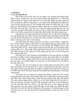 SKKN một số giải pháp chỉ đạo xây dựng môi trường hoạt động và giáo dục bảo vệ môi trường tại trường mầm non điện biên  TPTH 