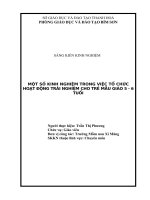 SKKN một số kinh nghiệm trong việc tổ chức hoạt động trải nghiệm cho trẻ mẫu giáo 5 6 tuổi 