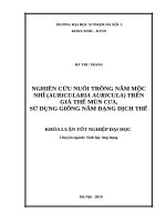 Nghiên cứu nuôi trồng nấm mộc nhĩ (auricularia auricula) trên giá thể mùn cưa, sử dụng giống nấm dạng dịch thể 