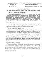 báo cáo thành tích tập thể BCĐ 138 xã