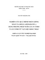 Nghiên cứu quá trình nhân giống xoan ta (melia azedarach l ) bằng phương pháp nuôi cấy in vitro và ex vitro từ vật liệu khác nhau 