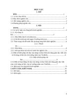 SKKN một số kinh nghiệm chỉ đạo xây dựng và thực hiện nội dung giáo dục tình cảm và kĩ năng xã hội cho trẻ tại trường mầm non vietkids 