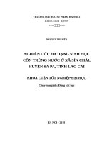 Nghiên cứu đa dạng sinh vật côn trùng nước ở xã sín chải, huyện sa pa, tỉnh lào cai 