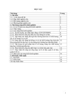 SKKN một vài biện pháp để thực hiện tốt công tác phổ cập giáo dục tiểu học đúng độ tuổi 