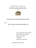 TIỂU LUẬN NHÓM TÂM LÝ HỌC VỀ ĐỜI SỐNG TÌNH CẢM