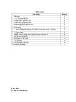 SKKN một số biện pháp chỉ đạo GDKNS thông qua môn đạo đức và môn TV cho HS lớp 5 