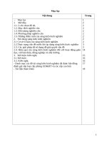 SKKN một số kinh nghiệm bồi dưỡng học sinh môn bóng đá mini ở trường tiểu học 