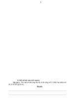 Bai tap boi duong HSG lop 2