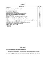 SKKN một số biện pháp giúp học sinh lớp 5 làm tốt bài văn tả người  