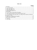 SKKN giúp học sinh lớp 5 rèn kĩ năng tính nhanh, tính nhẩm  