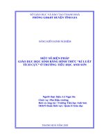 SKKN một số biện pháp giáo dục học sinh bằng hình thức kỉ luật tích cực ở trường tiểu học anh sơn 
