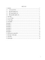 SKKN một số kinh nghiệm nâng cao chất lượng đội ngũ giáo viên tại trường TH hoàng hoa thám 